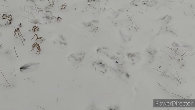 ВотТАК и ЖИВЁМ ? А что ДЕЛАТЬ ✌️ Семья в деревне смотреть онлайн