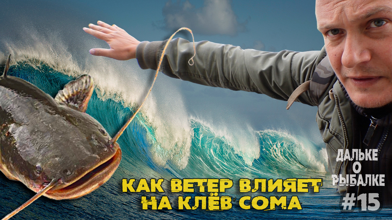 Как ветер влияет на клёв сома - Где ловить сома смотреть онлайн