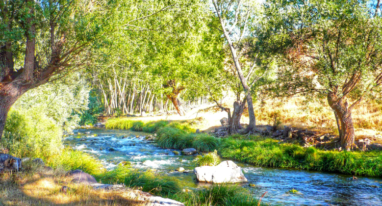 Звук чистой синей реки, щебетание птиц ✦ Успокаивающие Звуки ✦ Relax Sleep смотреть онлайн