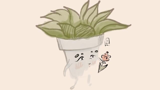 Анимация - суккулент (stickers Succulents)