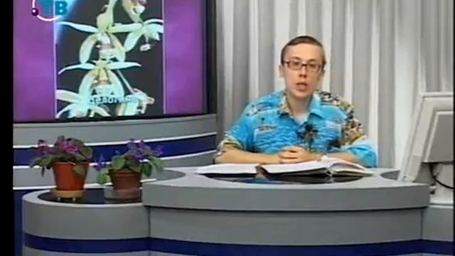 Цветы. Урок 2.3. Семейство орхидные. Часть 2 смотреть онлайн