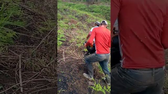 Sembrando con la más rápida смотреть онлайн