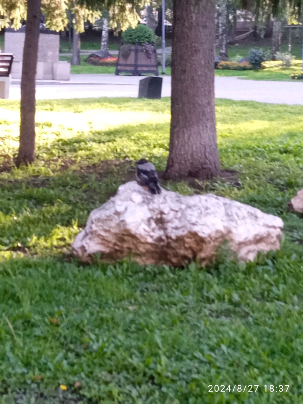 ля-ля-ля Я катаюсь на роликах смотреть онлайн