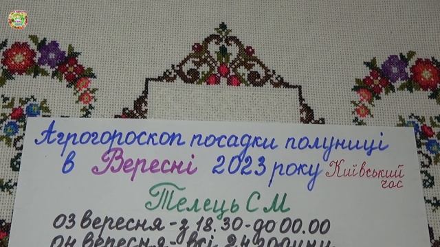 Агрогороскоп посадки клубники в сентябре 2023. Agrohoroscope for planting strawberries in September смотреть онлайн