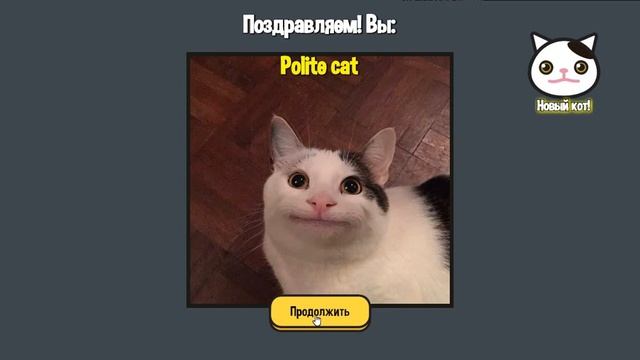 Обзор игры - Какой ты мемный кот? смотреть онлайн