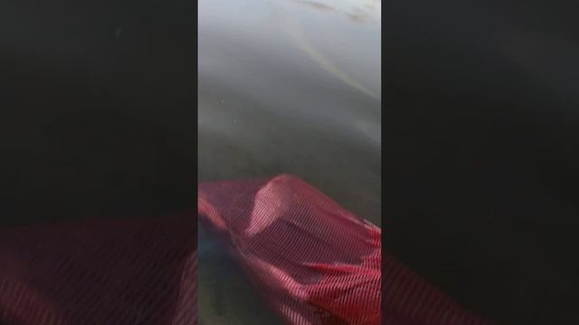 река Ока. отдых и рыбалка с ночёвкой смотреть онлайн