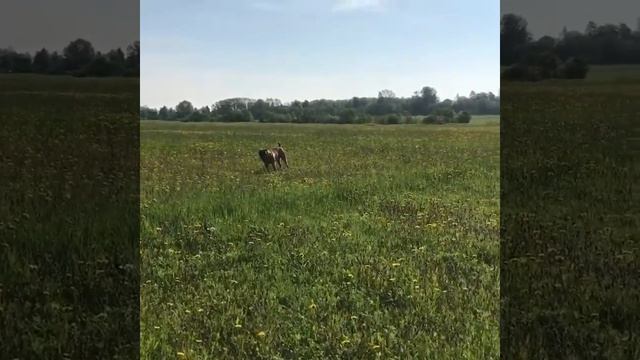 Бурбуль Хаммер 2 года смотреть онлайн