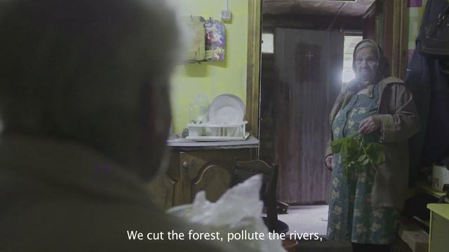 Работы участников документальной секции 9-й Международной летней киношколы ВГИК смотреть онлайн