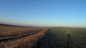 Охота на зайца в Воронежской области_30.10.2021г..mp4