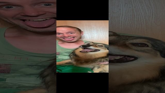 Когда в жару пыхтят оба смотреть онлайн