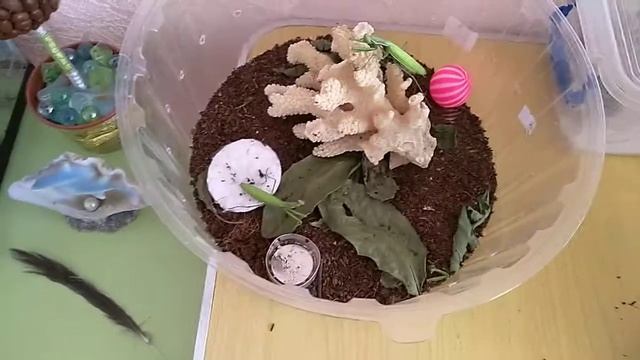 Как обустроить домик богомола. + Игра "Царь Горы" смотреть онлайн