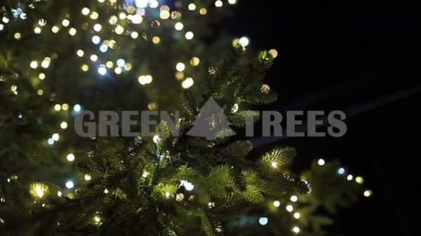 Искусственная ель "Лесная" 6м со встроенным освещением от GreenTrees