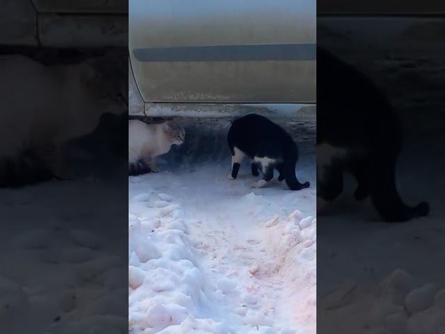 Ухожу красиво смотреть онлайн