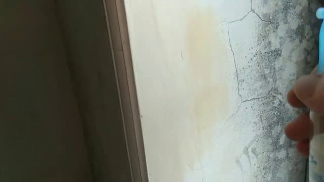 САМЫЙ ПРОСТОЙ СПОСОБ ИЗБАВЛЕНИЯ ОТ ПЛЕСЕНИ !