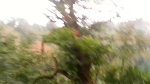 Дорога из Национального парка Мтирала, Грузия смотреть онлайн