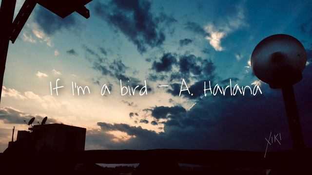 if i’m a bird - juno roome (ukulele cover) смотреть онлайн