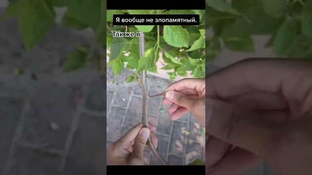 Месть смотреть онлайн