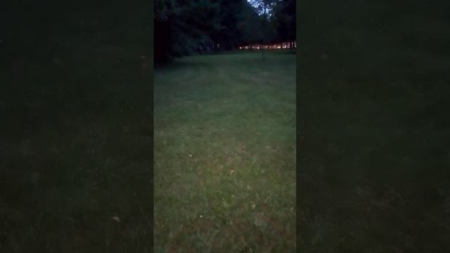 Святой Франциск и пение 2 смотреть онлайн