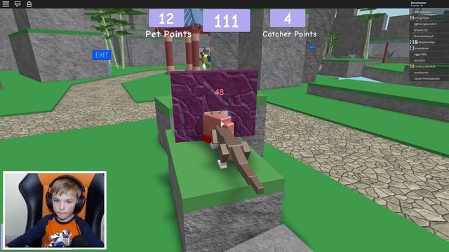 CATCH THEM ALL! in ROBLOX PET ESCAPE смотреть онлайн
