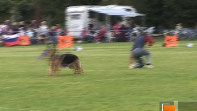  DOGFRISBEE