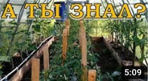 ПОДПОРКИ для томатов и огурцов в ТЕПЛИЦЕ и в ОГ???