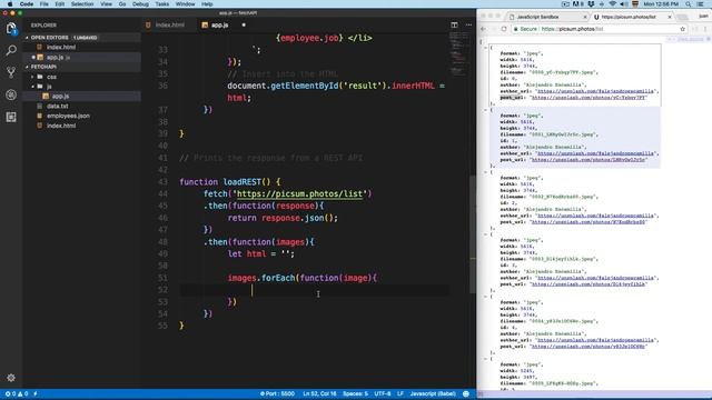 JavaScript Course: Display JSON Data from REST API with Fetch API смотреть онлайн