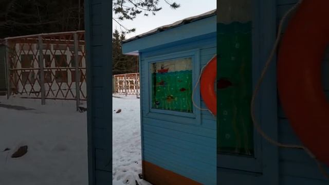 Предновогоднее настроение ?