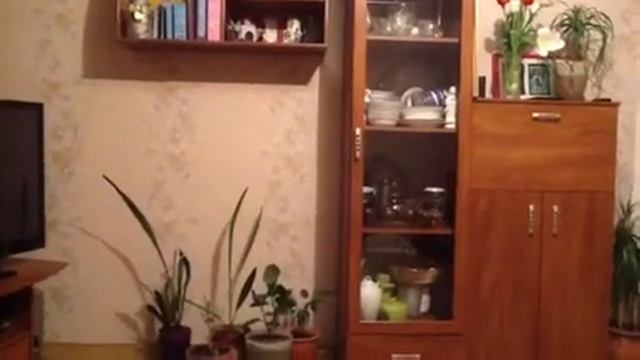 Не ходи в школу! смотреть онлайн