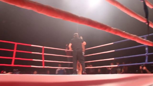 Алексей Стоян против Хабиба Ибрагимова. Автор: Екатерина Лобановская смотреть онлайн