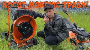 Какая газонокосилка может косить мокрую траву_ ZimAni Quattro Blade + турбонож!