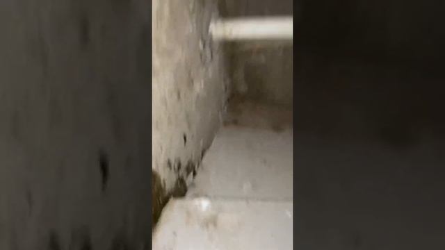 Как быстро и легко отогреть замёрзшую воду дома ? смотреть онлайн