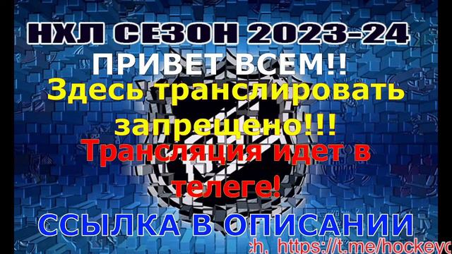 🔴 Тампа-Бэй Лайтнинг — Лос-Анджелес Кингз. СЕЗОН НХЛ 2023-24!!! смотреть онлайн