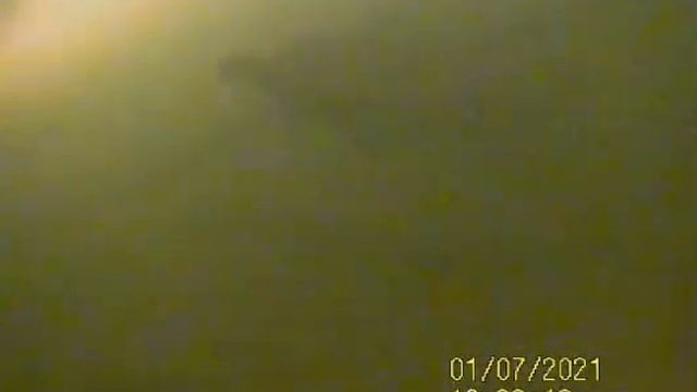 форель, белавино 07.01.21 calipso смотреть онлайн