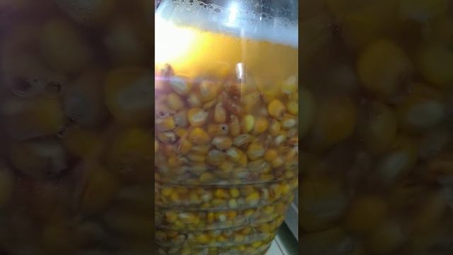 Пьяная кукуруза смотреть онлайн