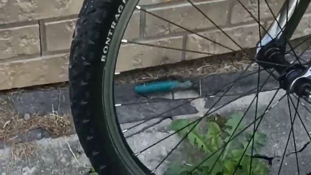 TREK 4300 смотреть онлайн