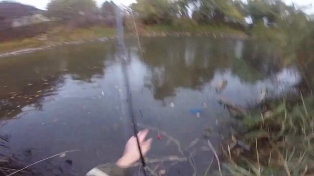 Рыбалка в Германии, река Верра 2018 смотреть онлайн