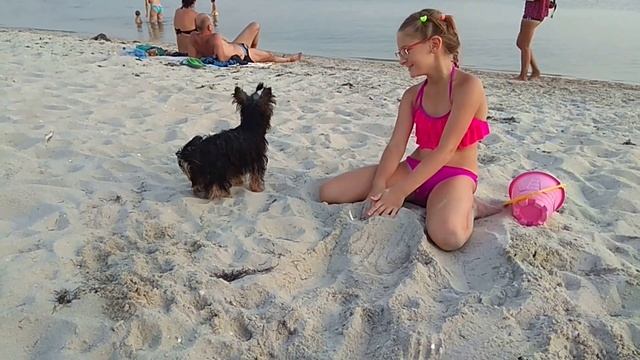 Веселые копания в песке смотреть онлайн