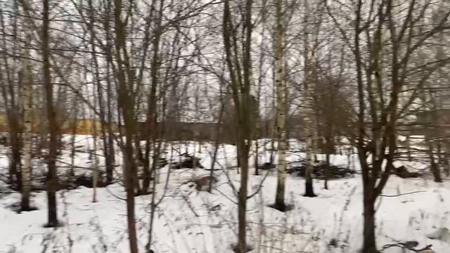 Чашниково 898 смотреть онлайн