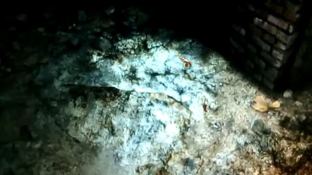 Обзор прохождения игры возвращение на таинственный остров (3) смотреть онлайн