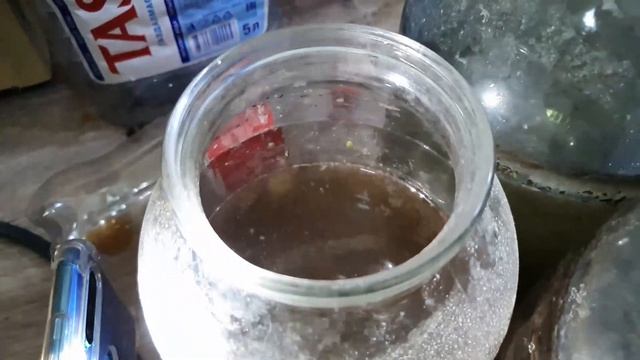 СТАРТОВЫЙ КОРМ ДЛЯ МАЛЬКА! От А до Я! Как добыть, развести, очистить и кормить им мальков! Часть 1 смотреть онлайн