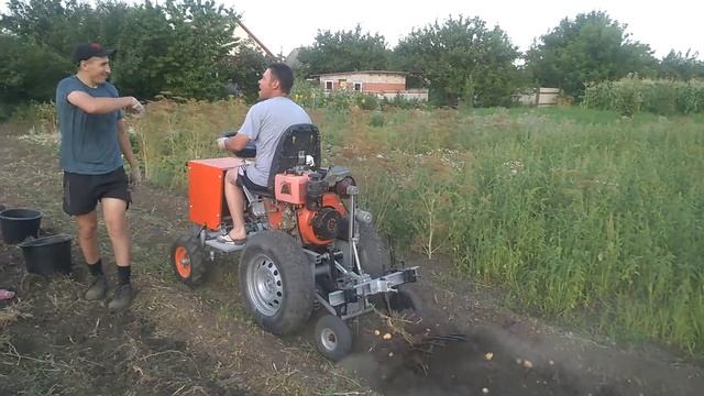 Мой миник, продолжаем копать картошку.