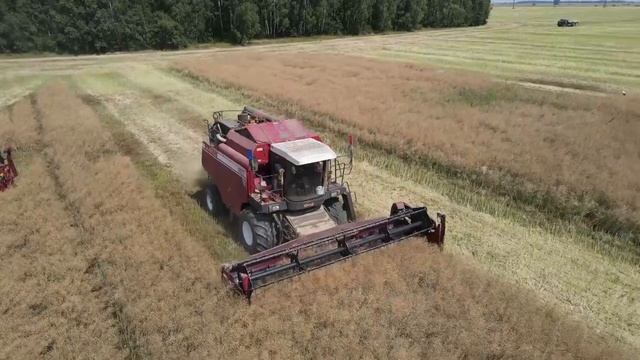 Как проводят свой основной отпуск некоторые сотрудники Слуцкого РОВД? смотреть онлайн
