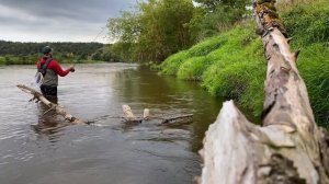 Нахлыст на Москва-реке. Жерех и голавль. (Много поклевок!)