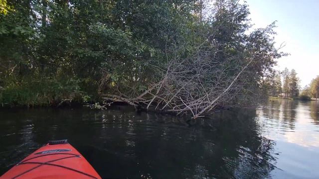 Живу в Невероятной красоте Вашингтона SpokaneWA смотреть онлайн