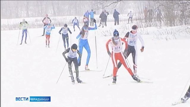 На лыжный марафон во Владимире зарегистрировалось около 450 участников смотреть онлайн