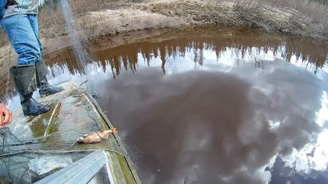 рыбалка на макарихе смотреть онлайн