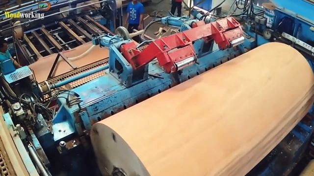 Amazing Biggest plywood woodworking Machine, Fastest Large wood processor Machines Working смотреть онлайн