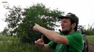 Вадим Чернобров. Медведицкая гряда, светящиеся шары, НЛО (2016)