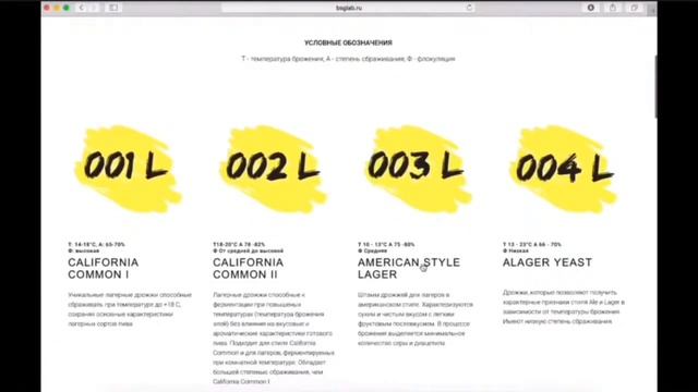 Школа Кисы - Портфолио смотреть онлайн
