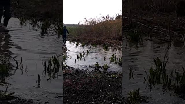 Рыбалка в г. Белореченске смотреть онлайн